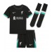 Camisa de time de futebol Liverpool Cody Gakpo #18 Replicas 2º Equipamento Infantil 2024-25 Manga Curta (+ Calças curtas)